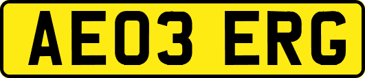 AE03ERG