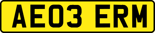AE03ERM