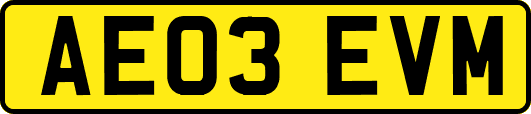 AE03EVM