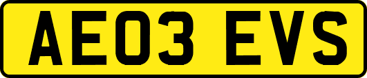 AE03EVS