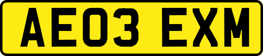 AE03EXM