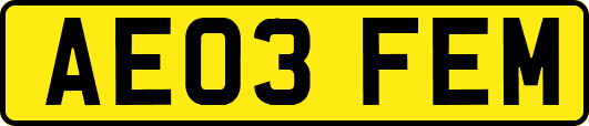 AE03FEM
