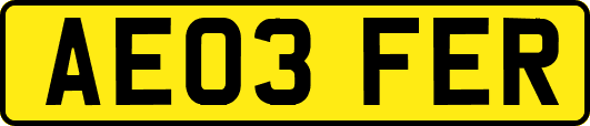 AE03FER