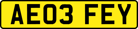 AE03FEY