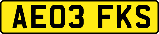 AE03FKS