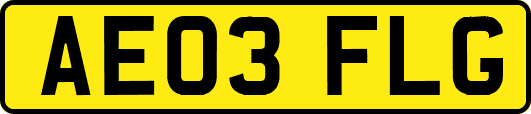 AE03FLG