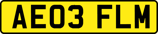 AE03FLM