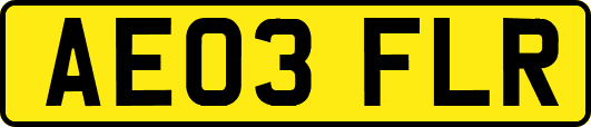AE03FLR