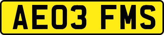 AE03FMS