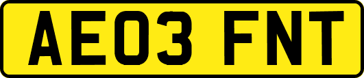 AE03FNT