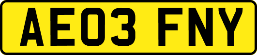 AE03FNY