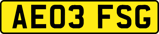 AE03FSG