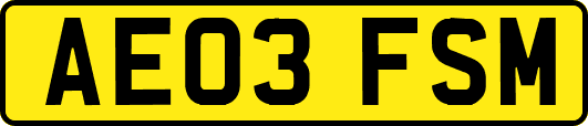 AE03FSM