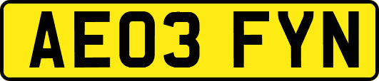 AE03FYN