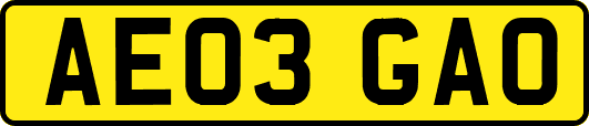 AE03GAO