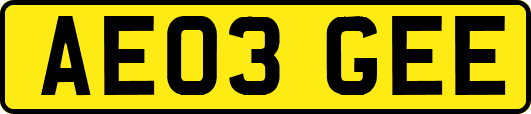 AE03GEE