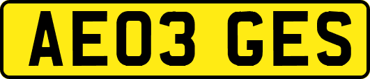 AE03GES