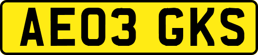 AE03GKS