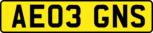AE03GNS