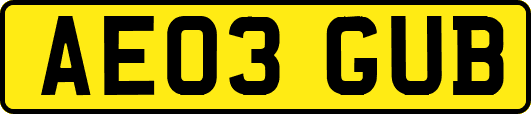 AE03GUB