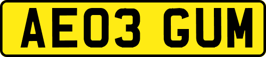 AE03GUM