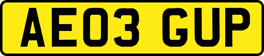 AE03GUP