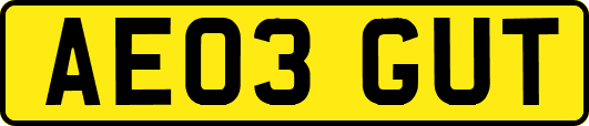 AE03GUT