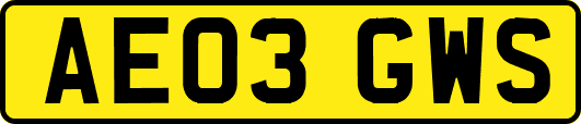 AE03GWS