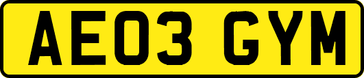 AE03GYM