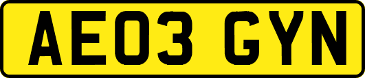 AE03GYN