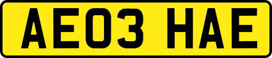 AE03HAE