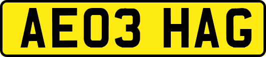 AE03HAG