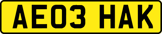 AE03HAK