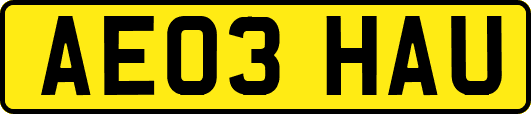 AE03HAU