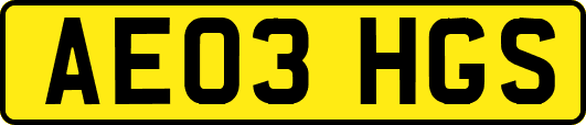AE03HGS