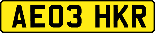 AE03HKR