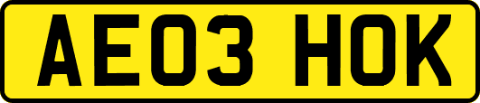 AE03HOK