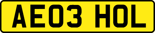 AE03HOL