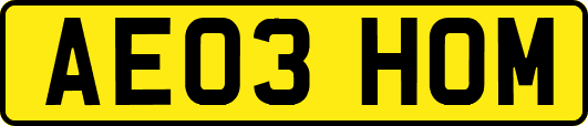 AE03HOM