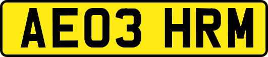 AE03HRM