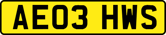 AE03HWS