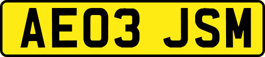 AE03JSM