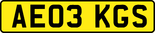 AE03KGS