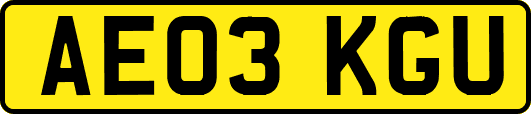 AE03KGU
