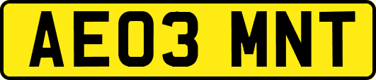 AE03MNT