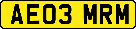 AE03MRM