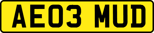 AE03MUD