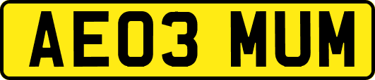 AE03MUM