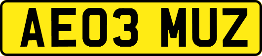AE03MUZ