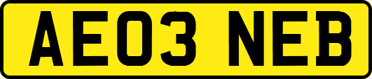 AE03NEB